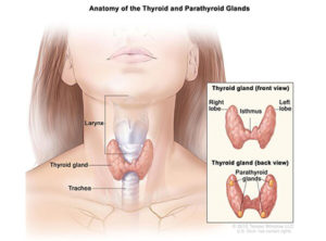 Thyroid Disease Surgery